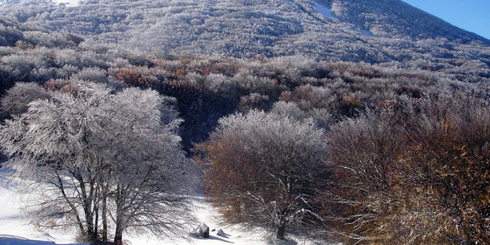 Freddo E Neve La Sicilia Si Imbianca E A Piano Battaglia Riaprono Gli