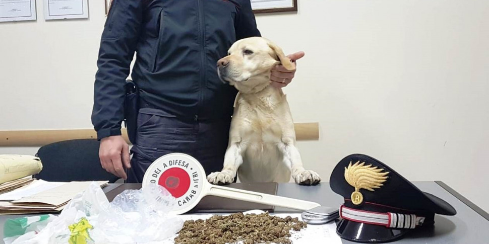 Mascali Il Fiuto Del Cane Scova La Droga In Casa Di Un Pusher