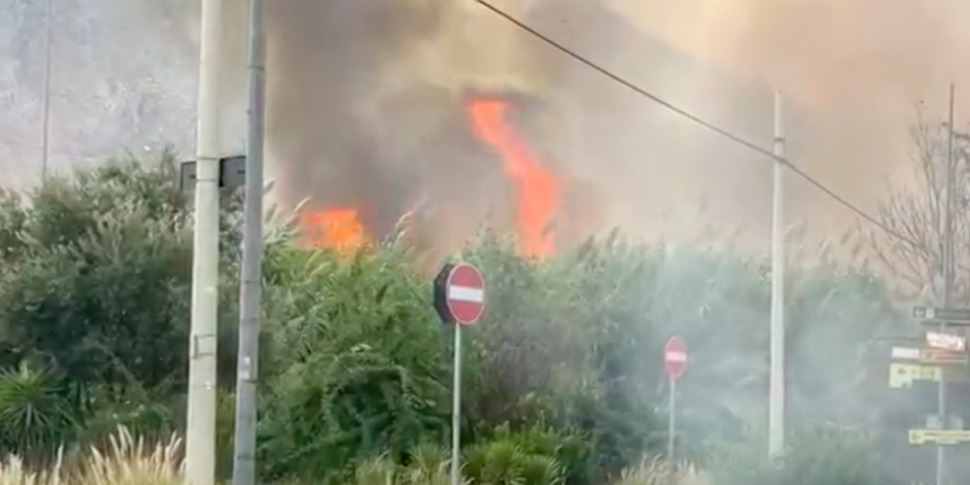 Incendi E Scirocco A Palermo Fiamme Nella Zona Del Forum Paura E