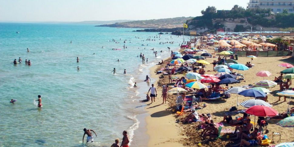 Noto Marina Soccorsa Una Tartaruga Caretta Caretta Spiaggiata