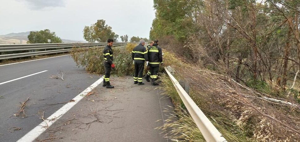 La Sicilia Flagellata Dal Vento Autostrade Chiuse Alberi Caduti E