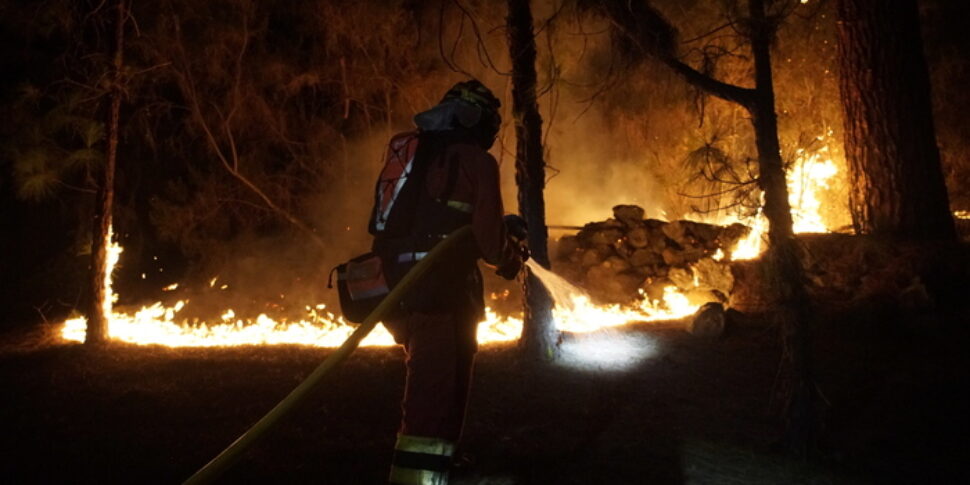 Emergenza Incendi Nel Mondo Dal Canada Alla Grecia E Alle Canarie