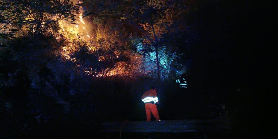 Due Incendi Nel Palermitano Danni Alla Vegetazione Interventi Di