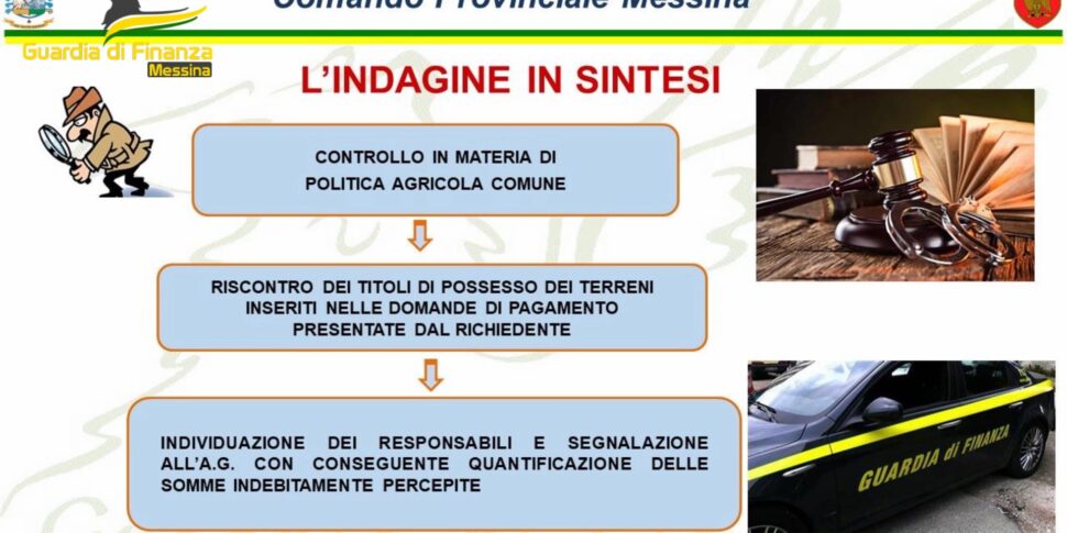 Terreni Inesistenti Per Intascare I Fondi Agea Due Denunce E Sequestro