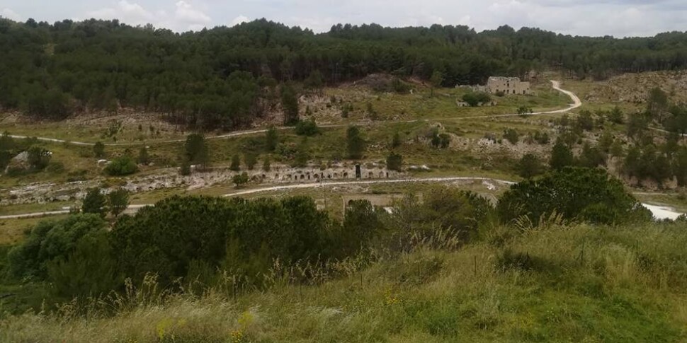 Un Rally Abusivo Nel Parco Di Floristella Chiuso Subito Dopo L