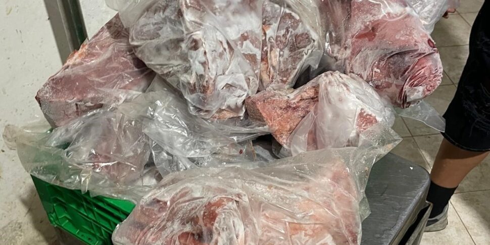 Palermo Sequestrati Oltre Chili Di Pesce Avariato Giornale Di