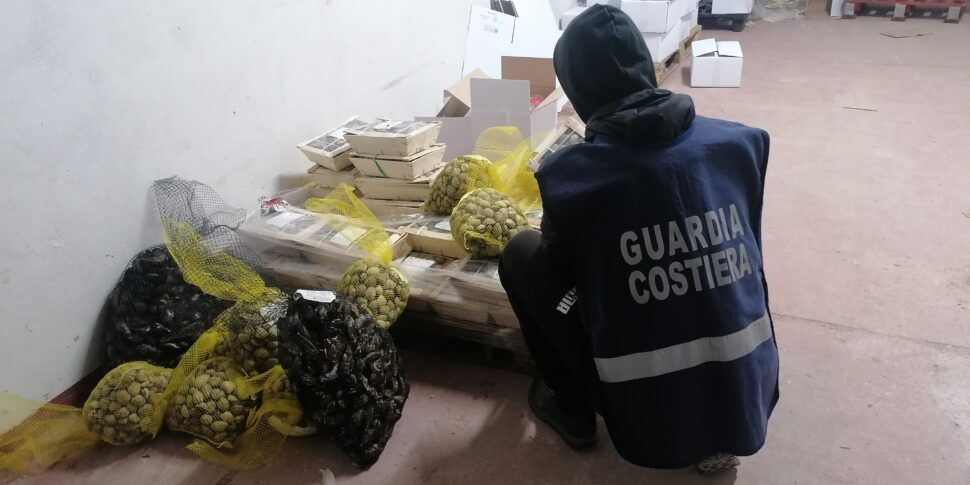 Operazione Calipso La Guardia Costiera Di Palermo Sequestra