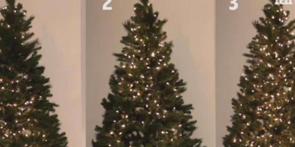 Come Mettere Le Luci Sull'albero Come mettere le luci sull'albero di Natale? Le tre tecniche - Video