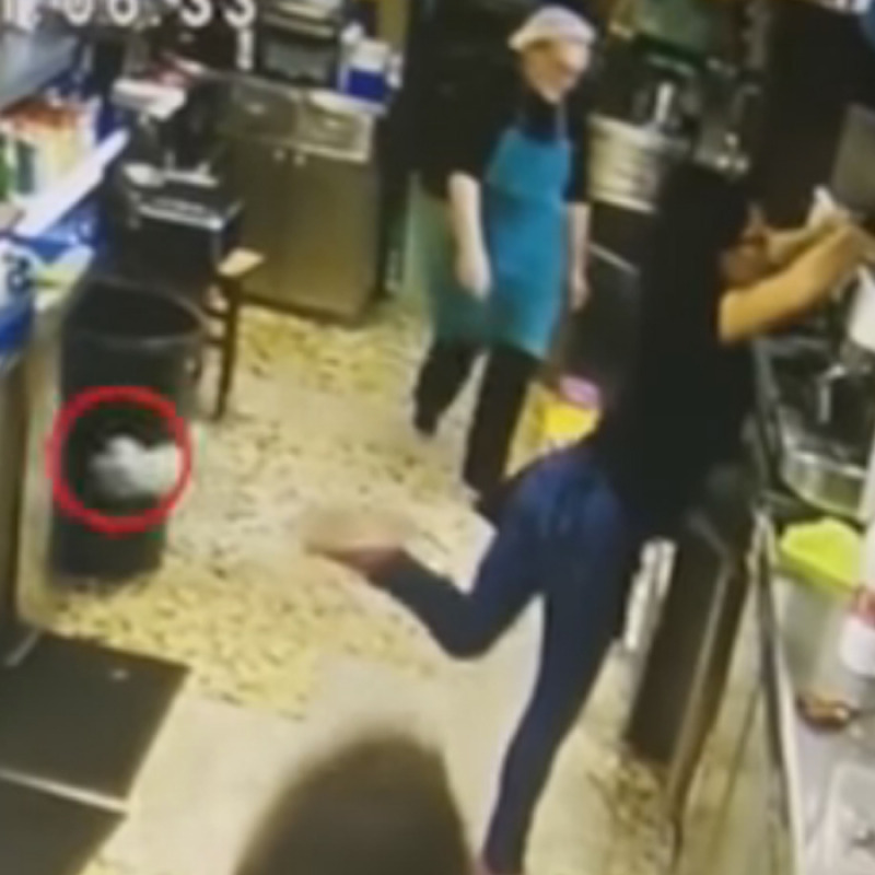 Le cade una tazzina ma la "salva" con un colpo di tacco: sul web la prodezza di una cameriera - Video