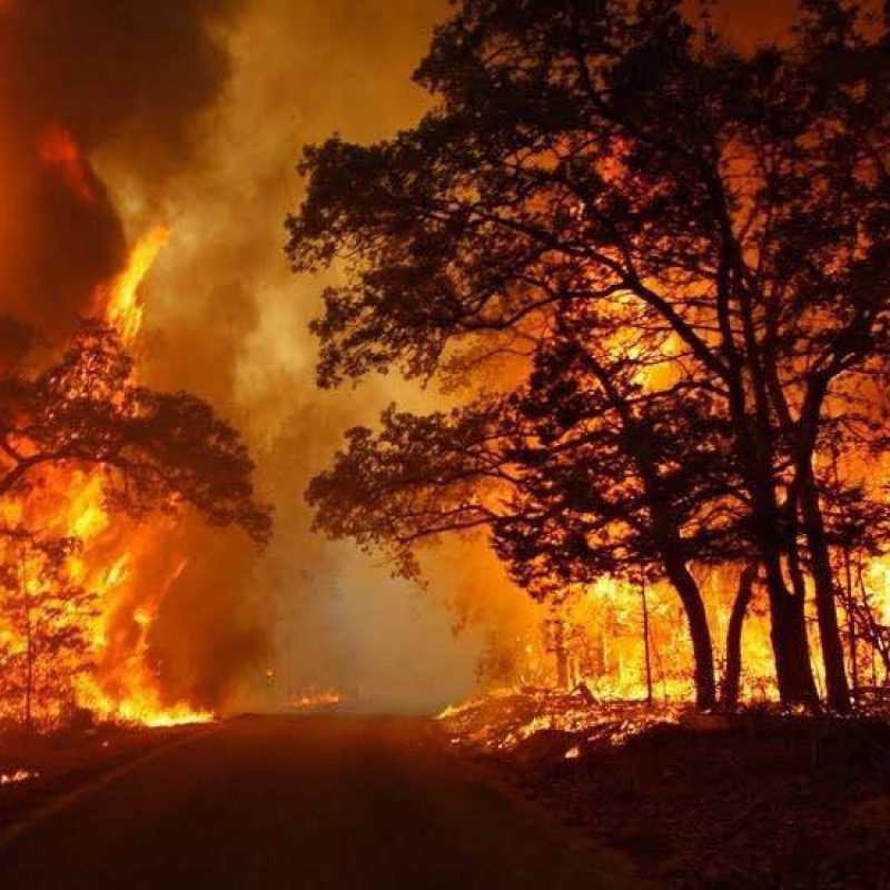 L'incendio nel bosco nell'Ennese
