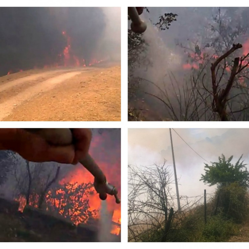 foto fornite dal Servizio Antincendio boschivo della provincia di Enna
