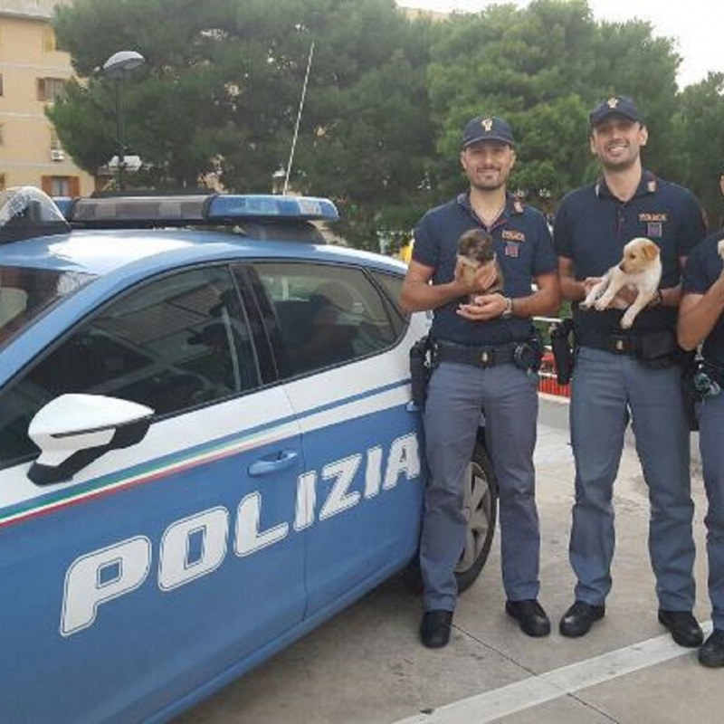 Gli agenti di Siracusa con i cuccioli salvati