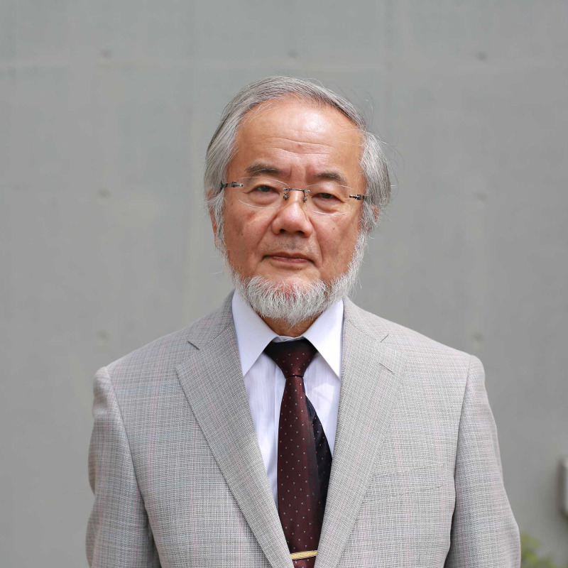 Il premio Nobel per la Medicina - Yoshinori Ohsumi