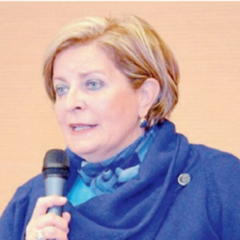 Rosalba Panvini, commissario della ex Provincia di Caltanissetta