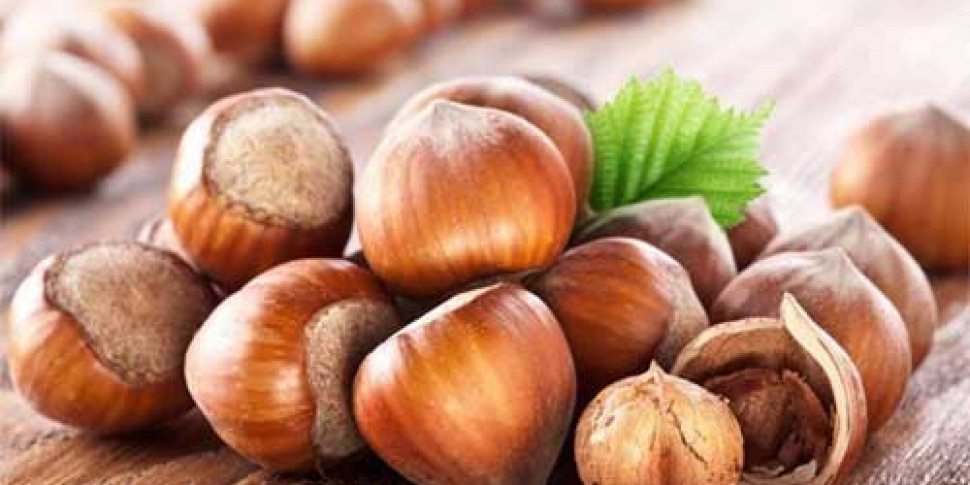 https://assets.gds.it/2017/01/nocciola-970x485.jpg