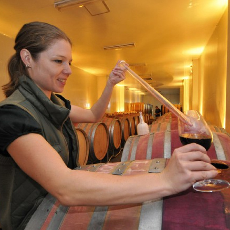 Vola l'export del vino biologico made in Italy
