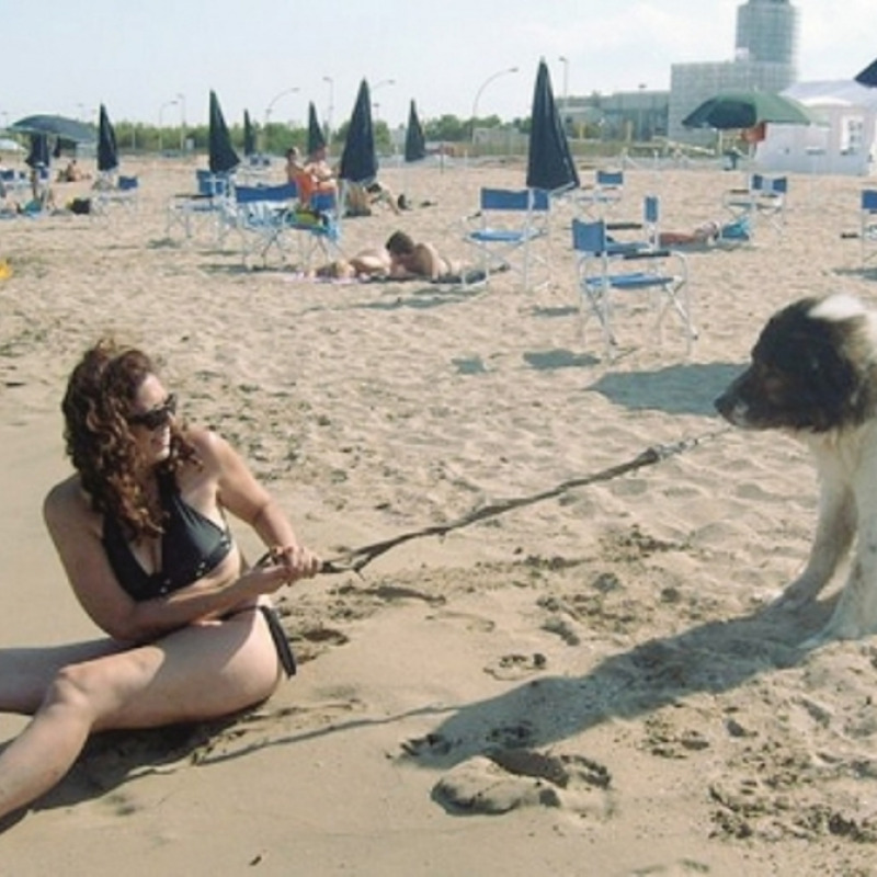 Spiaggia attrezzata per i cani a Priolo