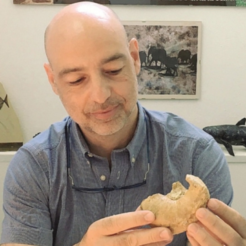 Il paleontologo Gianni Insacco con la bulla di Caperea