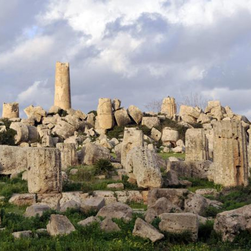 Il parco archeologico di Selinunte