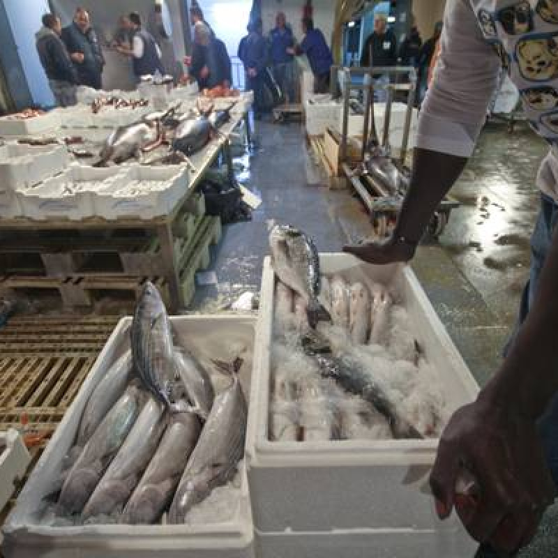 Mercato ittico a Siracusa, arriva finanziamento da 3 milioni