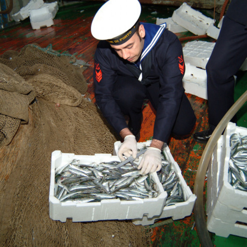 Commercio di pesce scaduto o non tracciabile, foto d'archivio