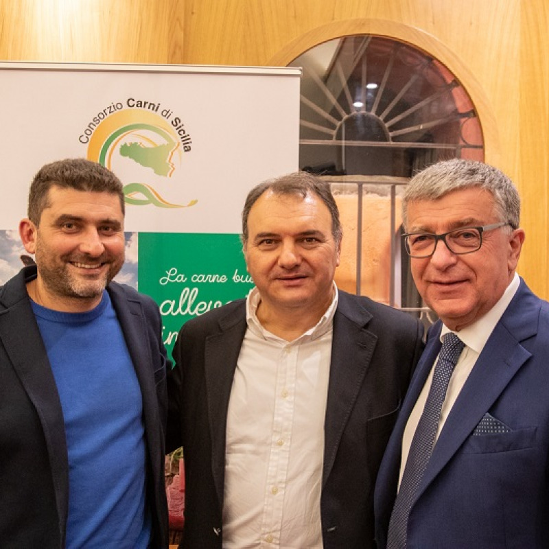 Marco Mocciaro, Vincenzo Chiofalo e Giuliano Marchesin