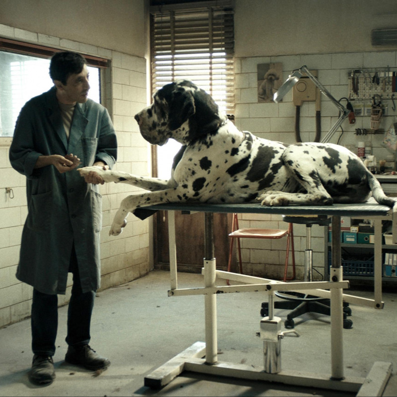 Marcello Fonte in una scena di "Dogman", film di Matteo Garrone