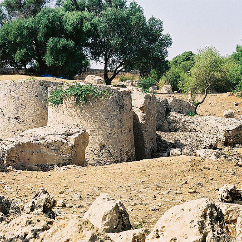 Parco archeologico di Selinunte e Cave di Cusa