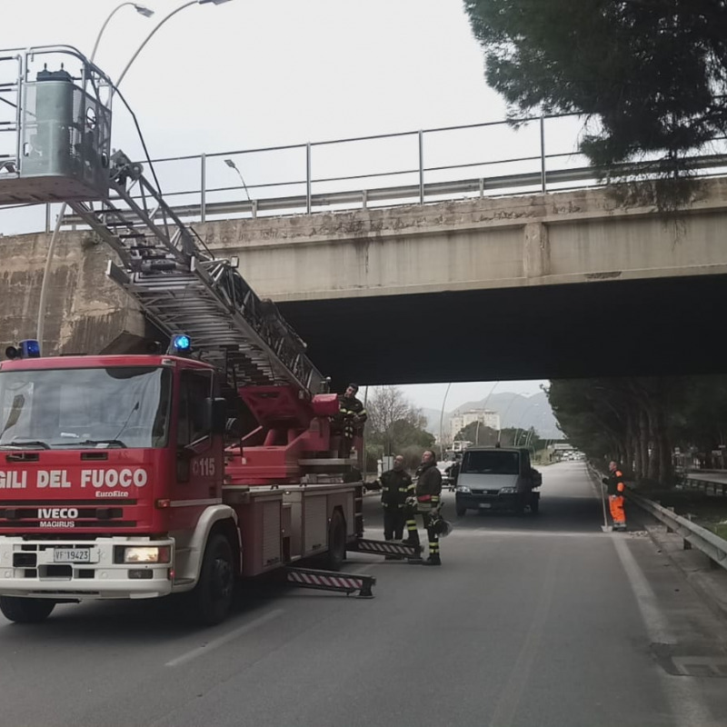 Le immagini dal viadotto di Bonagia. Sul posto i vigili del fuoco