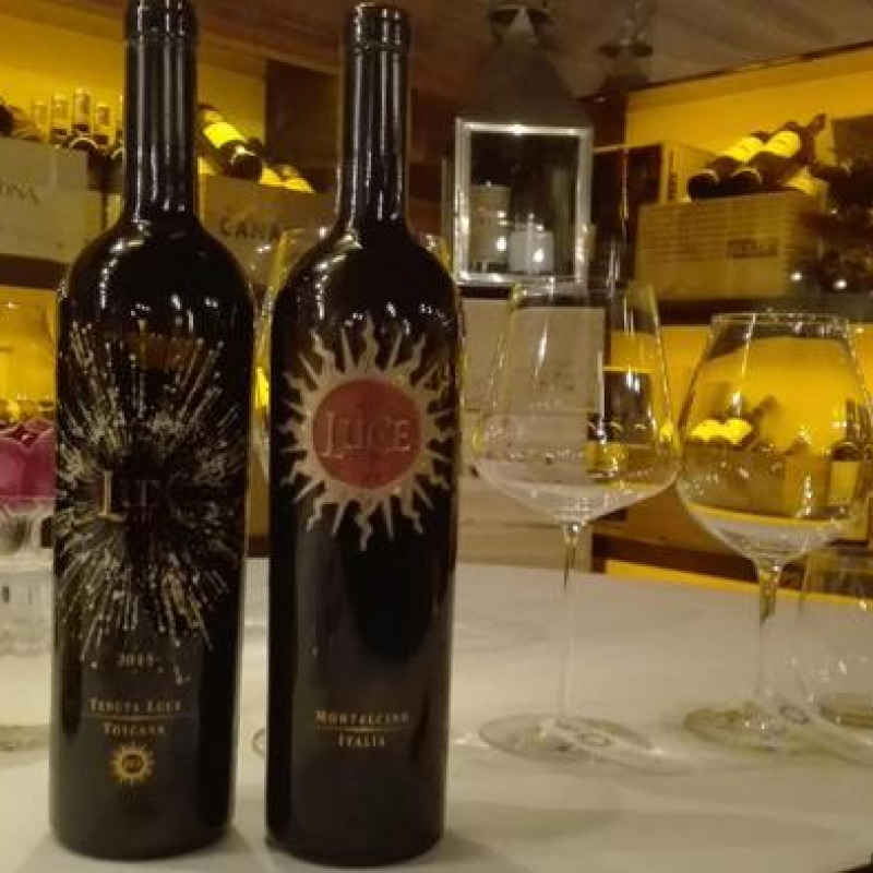 I vini di Tenuta Luce