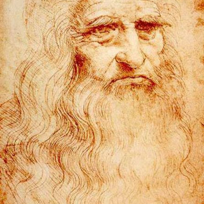Particolare del ritratto di Leonardo da Vinci sul quale si sono basate le ipotesi sulle cause della paralisi alla mano destra