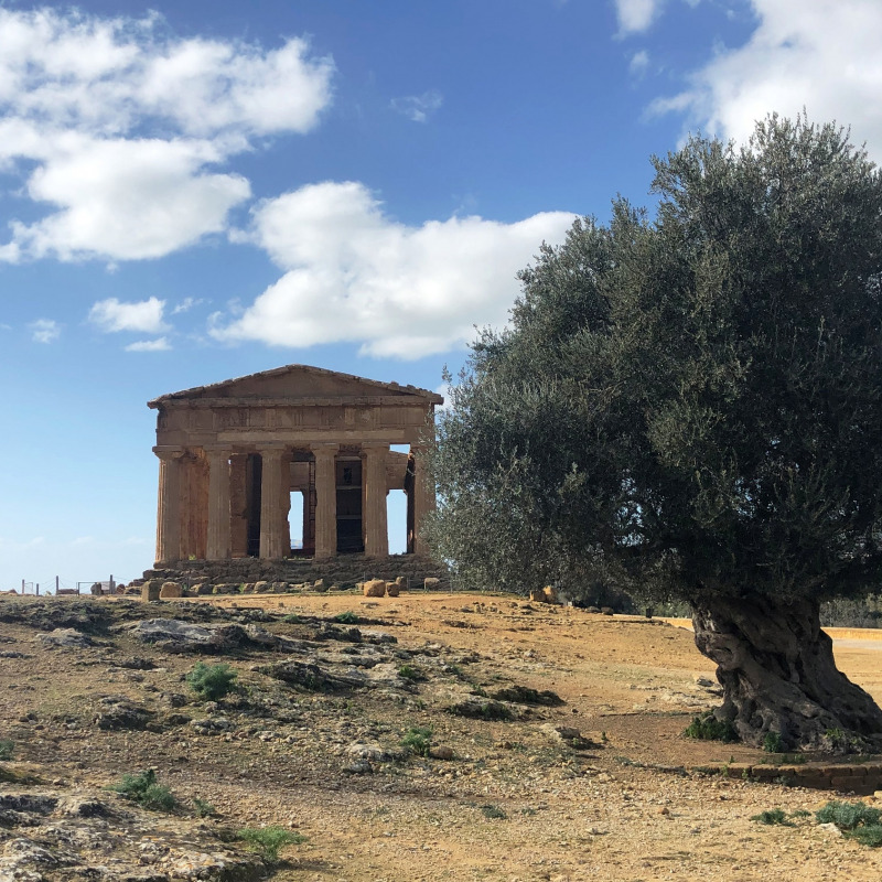 La Valle dei Templi di Agrigento