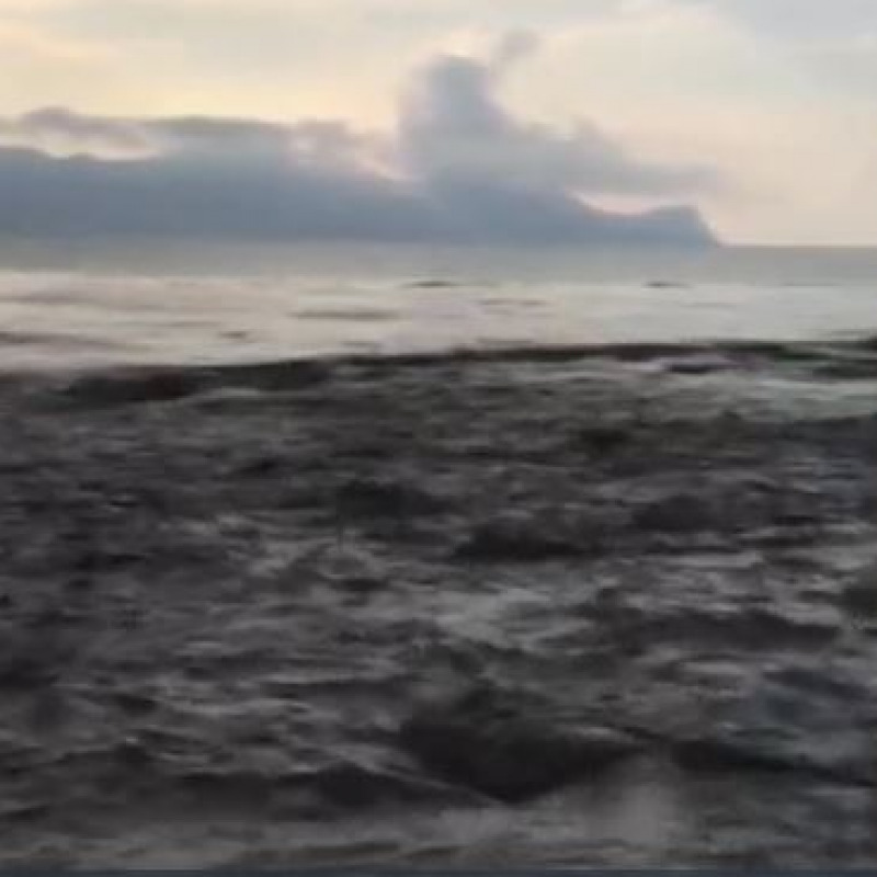 Canalotto di Alcamo Marina, dopo un acquazzone liquami scuri e la carcassa di un ovino - Video