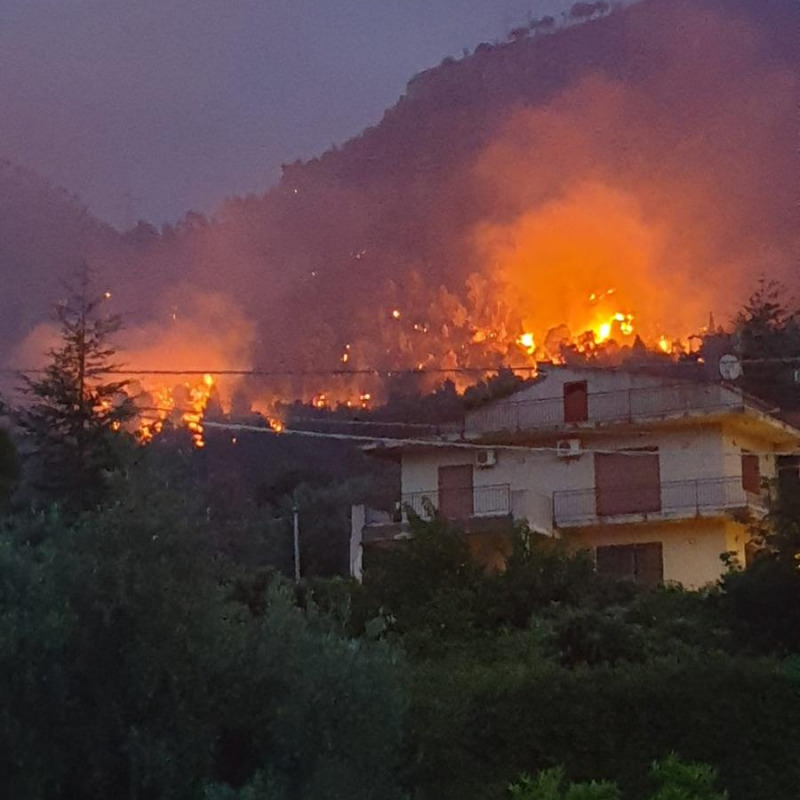 Incendio sopra Bonagia, Palermo - Foto di Giuseppe D'Agostino