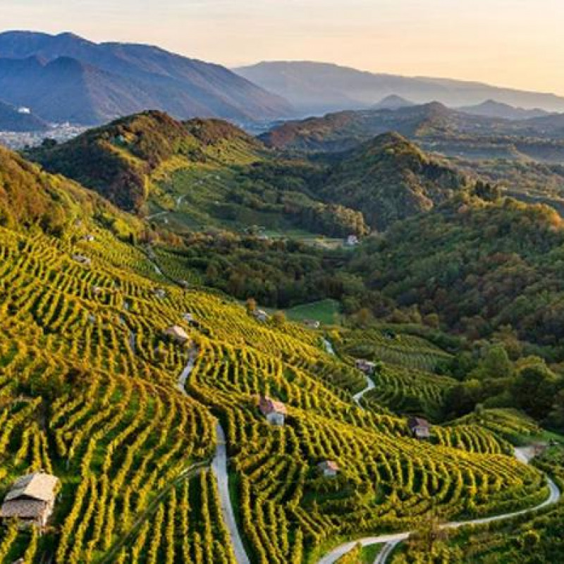 Al via il Cammino delle colline del prosecco in area Unesco