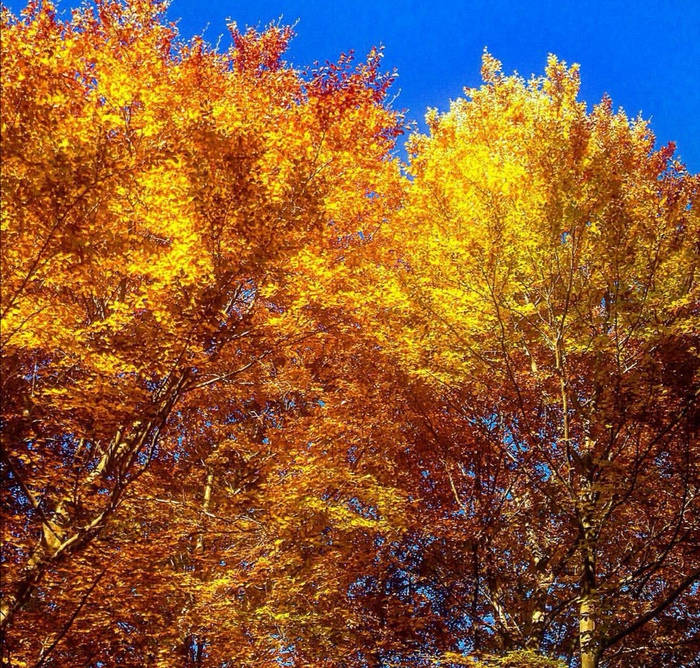 Foliage , nelle Dolomiti tra i colori dell autunno - Giornale di Sicilia