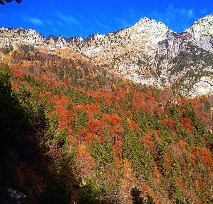Foliage , nelle Dolomiti tra i colori dell autunno - Giornale di Sicilia