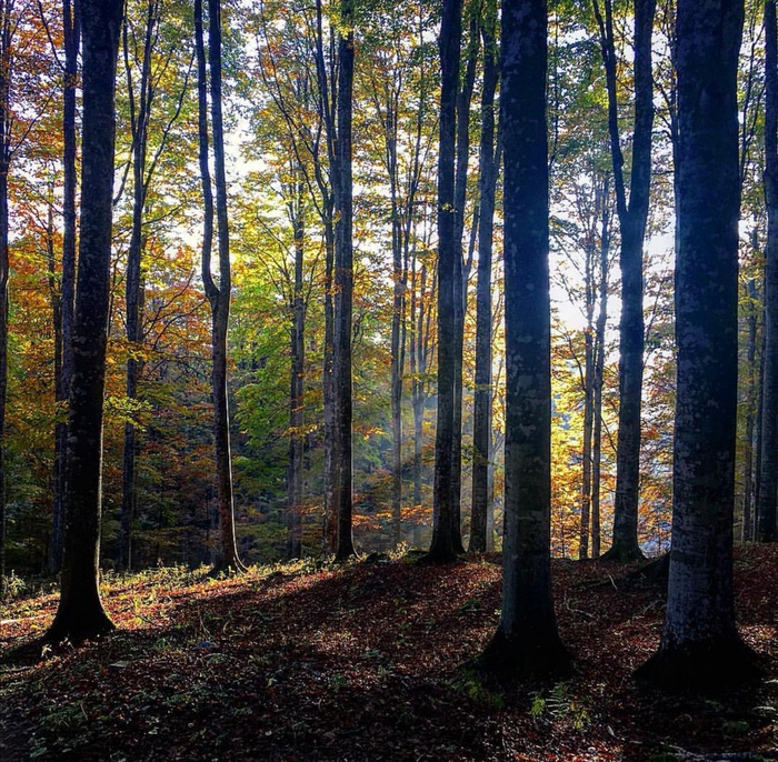 Foliage , nelle Dolomiti tra i colori dell autunno - Giornale di Sicilia