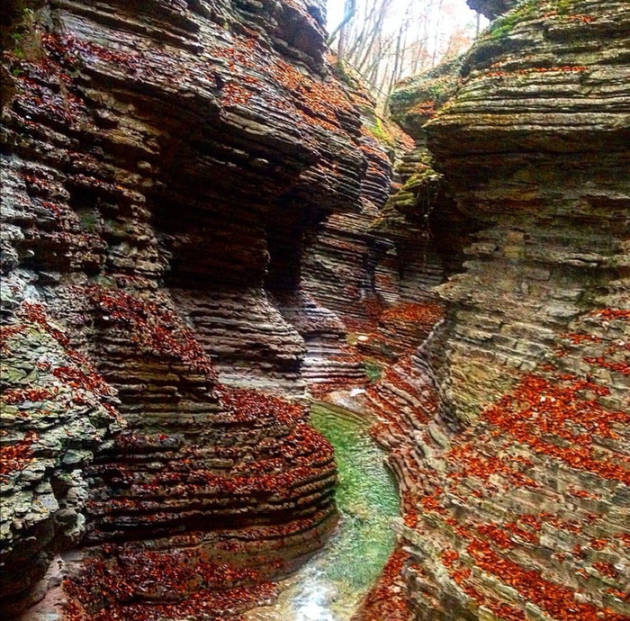 Foliage , nelle Dolomiti tra i colori dell autunno - Giornale di Sicilia