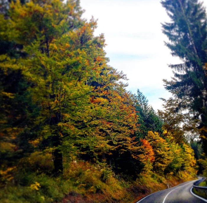 Foliage , nelle Dolomiti tra i colori dell autunno - Giornale di Sicilia
