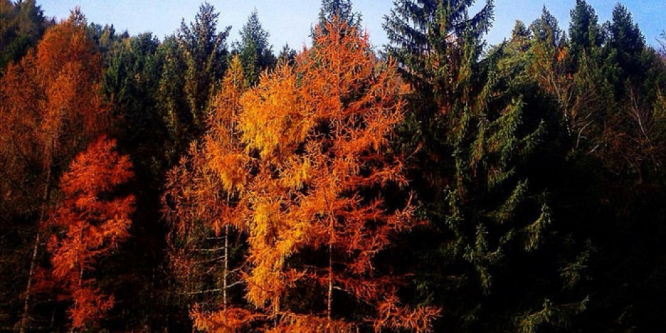 Foliage , nelle Dolomiti tra i colori dell autunno - Giornale di Sicilia