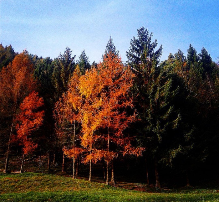 Foliage , nelle Dolomiti tra i colori dell autunno - Giornale di Sicilia