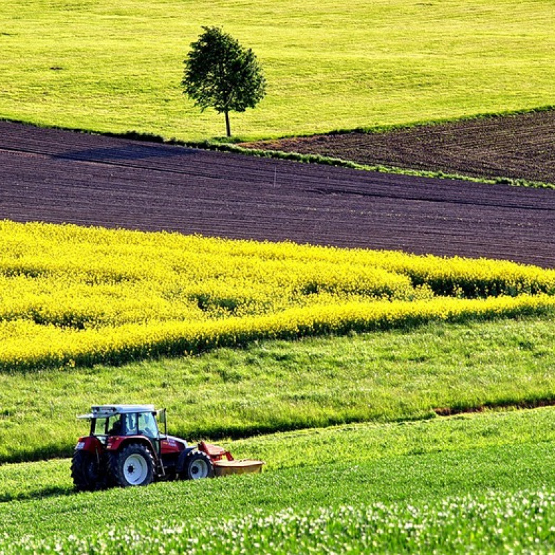 L'agricoltore del futuro è attento ad ambiente e tecnologia (fonte: Pixabay)