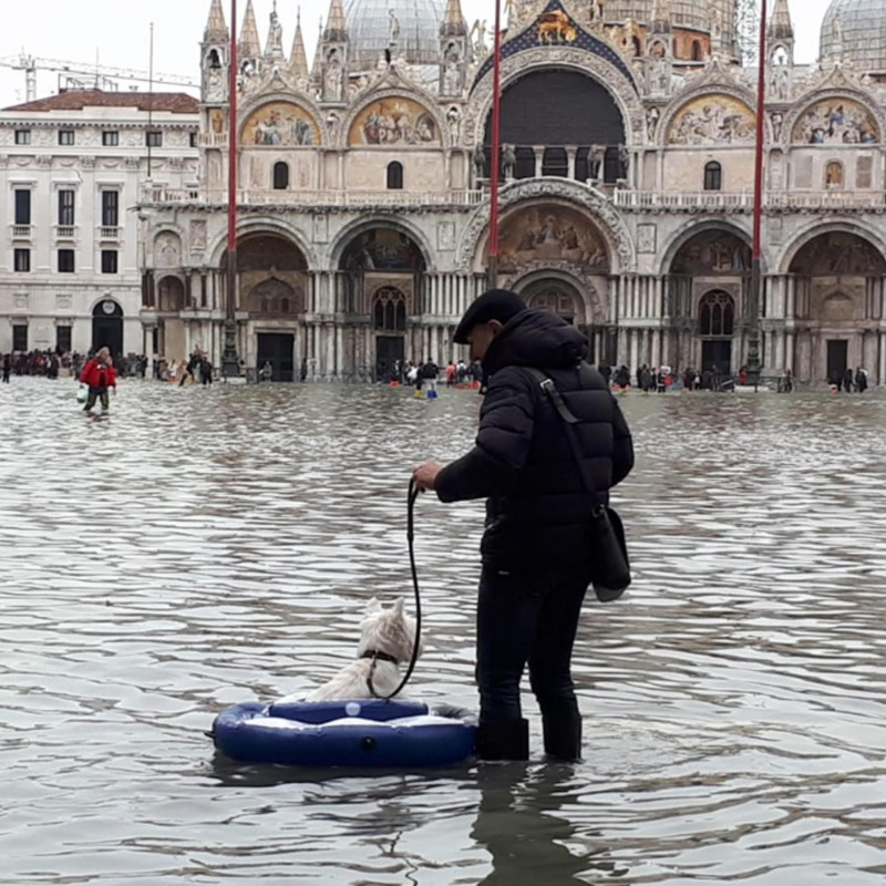 Acqua alta a Venezia