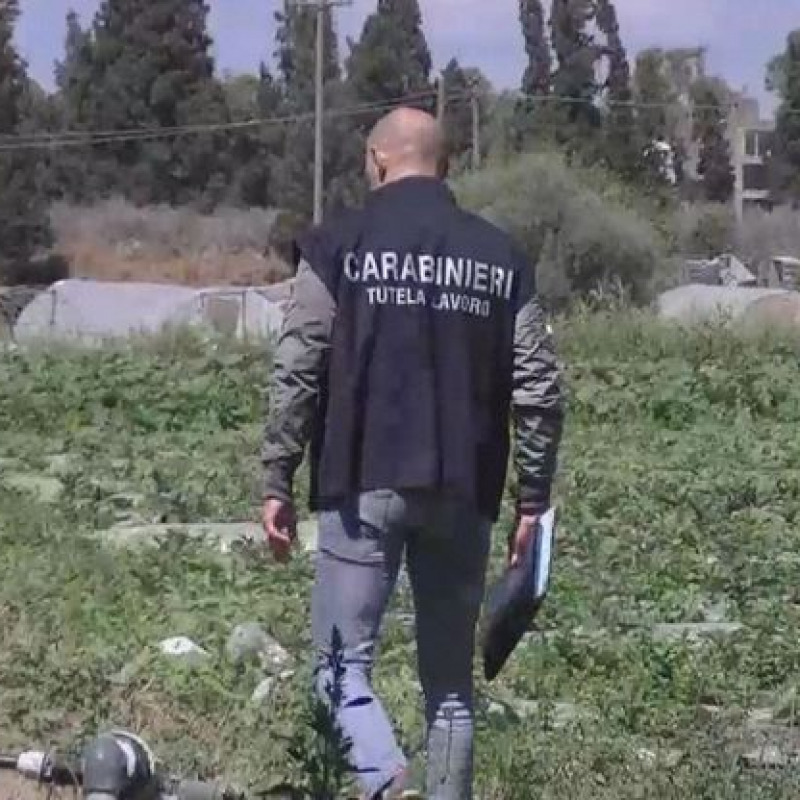 Caporalato: Bellanova, due strumenti di legge a inizio anno