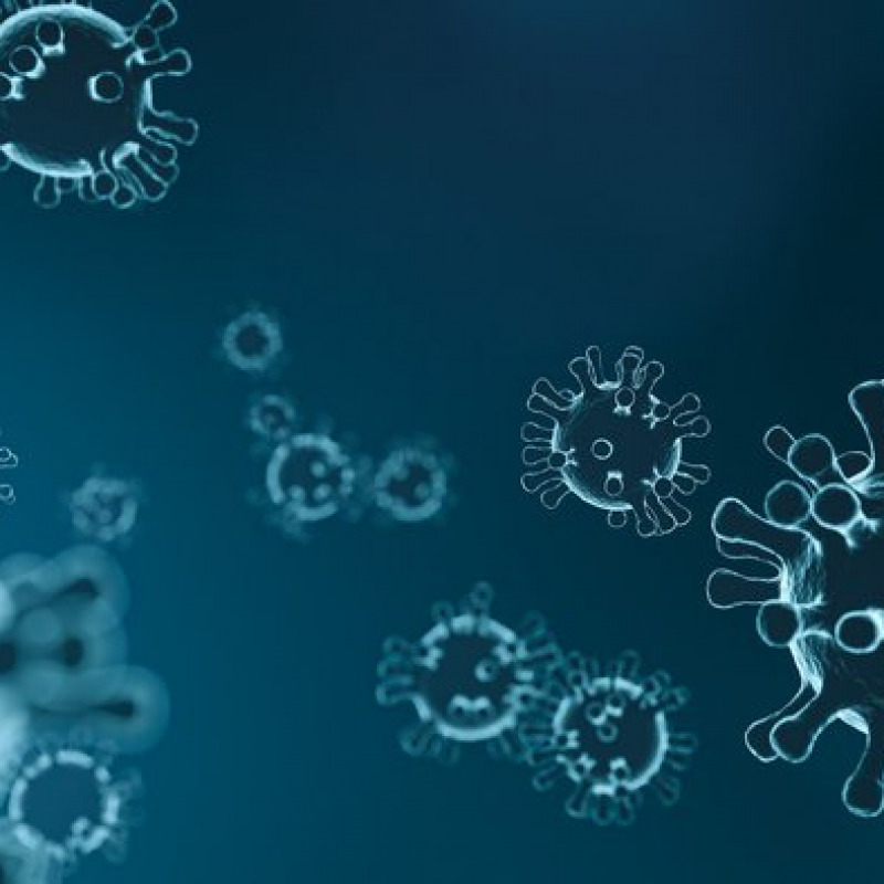 Rappresentazione grafica di un coronavirus