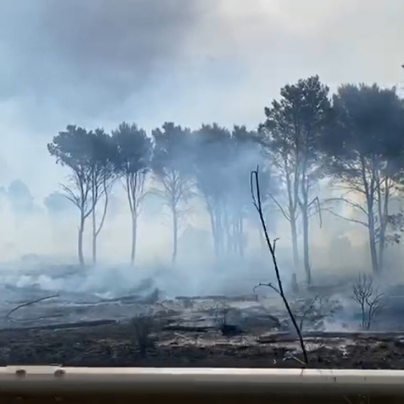 Un'immagine dell'incendio nel bosco del Magaggiaro