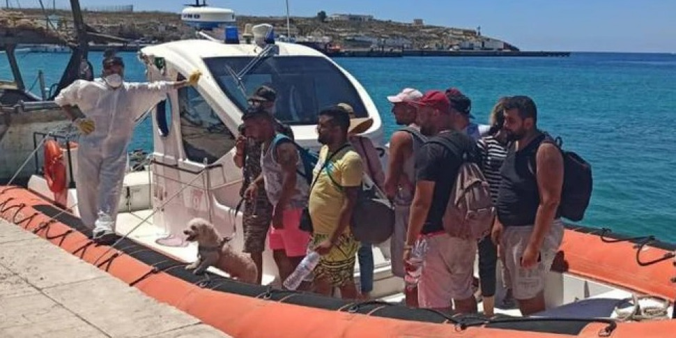 Barboncino e gatto sbarcati a Lampedusa, gli animalisti a Lamorgese