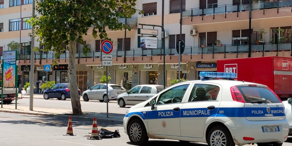 https://assets.gds.it/2020/07/cane_incidente_strasburgo_palermo-2-970x485.jpg