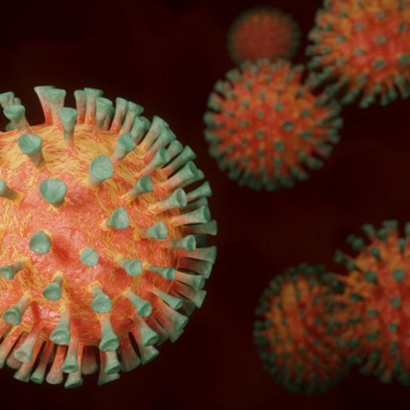 L'epidemia di Covid-19 in Italia porta la firma del coronavirus di ceppo europeo (fonte: Pixabay)